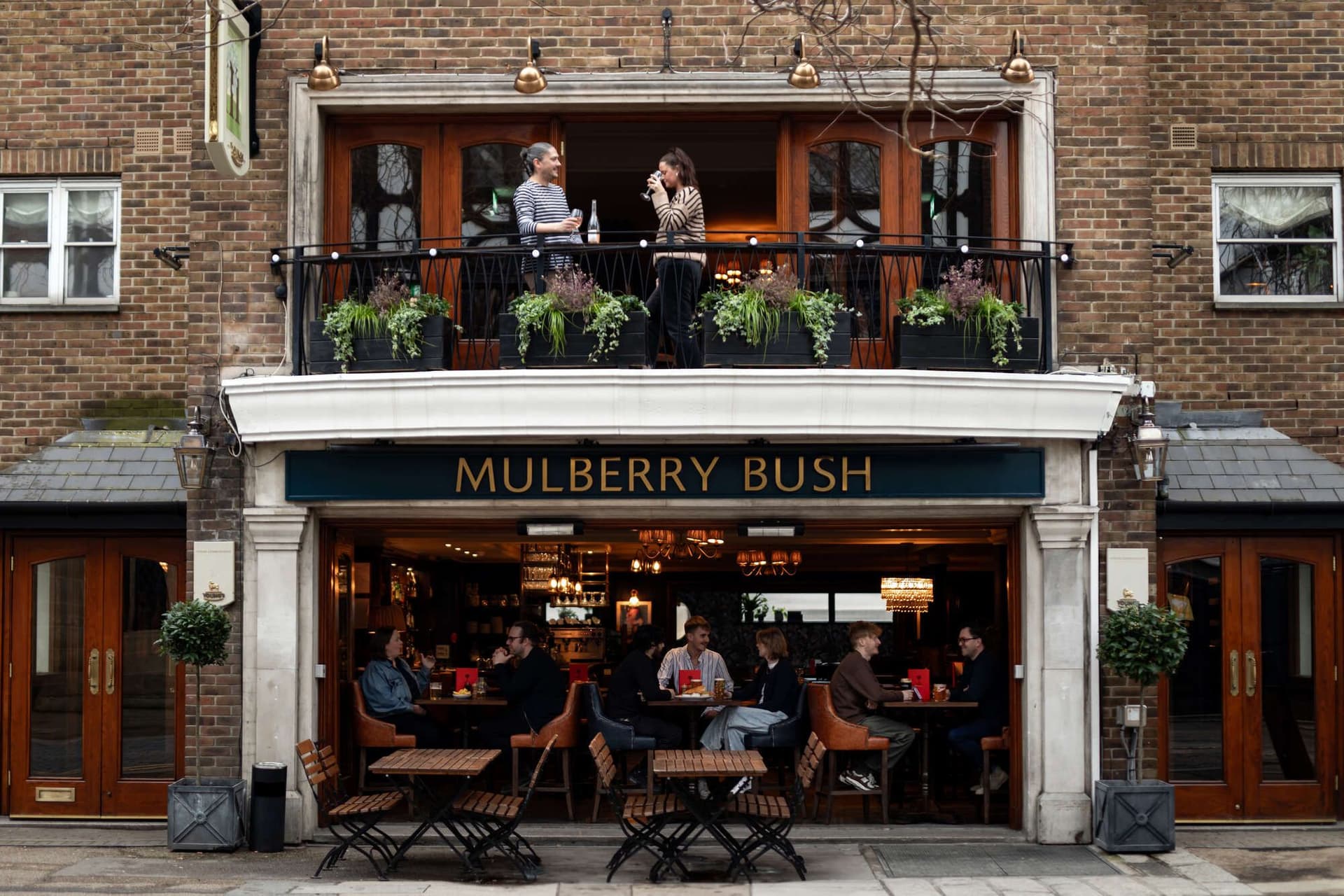 Mulberry Bush